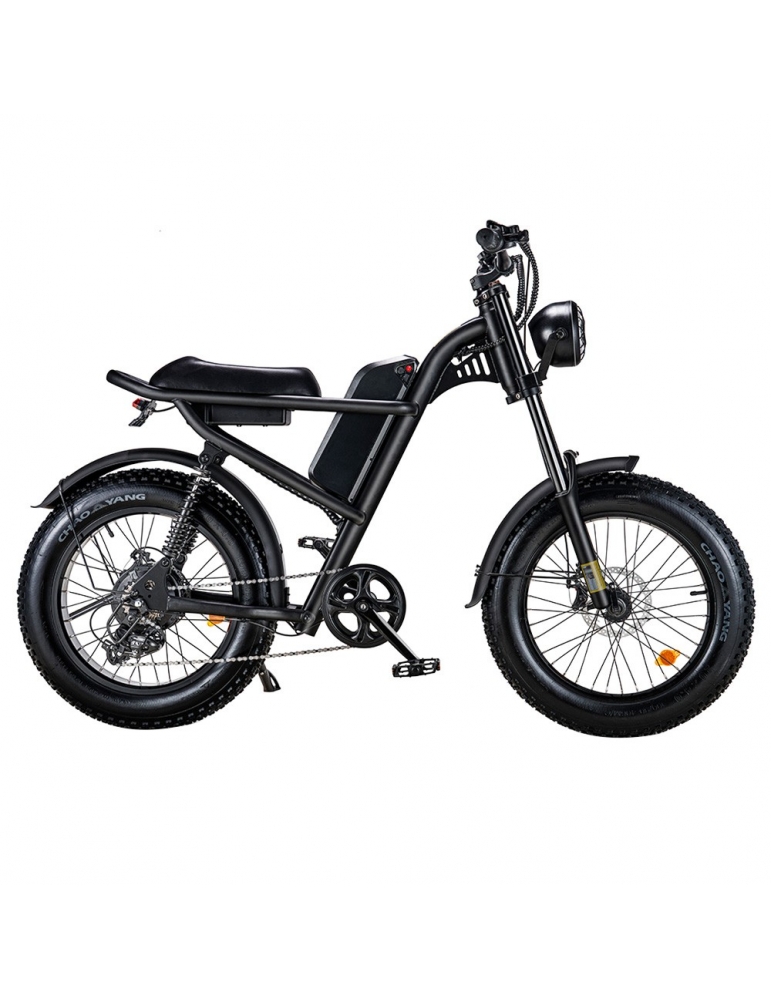 Riding' Times Z8 Pneumatico grasso Bicicletta elettrica motore 500W ,  batteria 15Ah