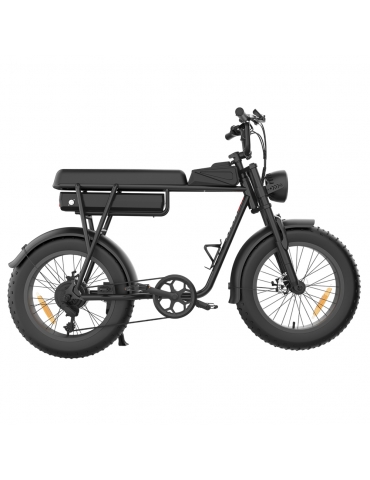 YAMALI FXH-006 Bicicletta elettrica, Motore 350W,...