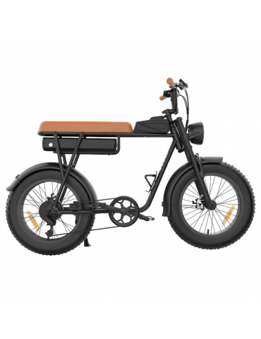 YAMALI FXH-006 Bicicletta elettrica, Motore 350W,...