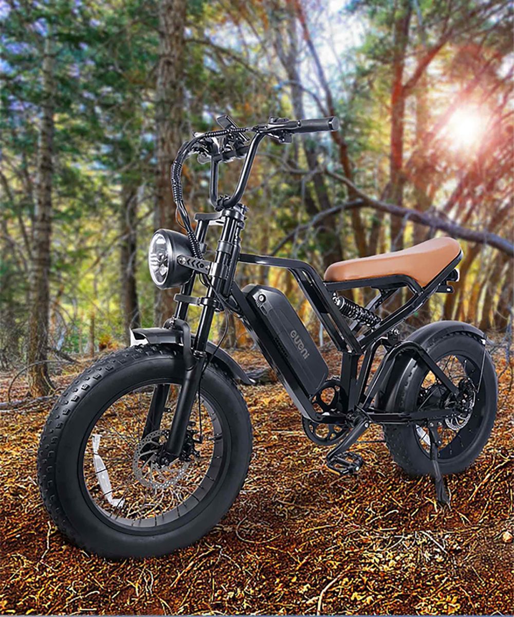 EUENI FXH009 Pro Electric Bike, 20-inch Tire, 750W Motor, 48V 15Ah Battery, 45km/h Max Speed, 96km Range, Shimano 7-speed Gear 