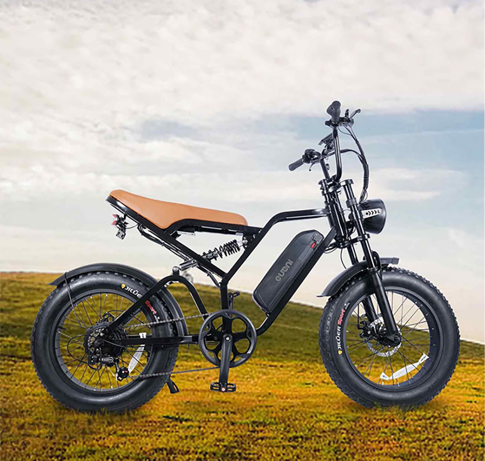 EUENI FXH009 Pro Electric Bike, 20-inch Tire, 750W Motor, 48V 15Ah Battery, 45km/h Max Speed, 96km Range, Shimano 7-speed Gear 