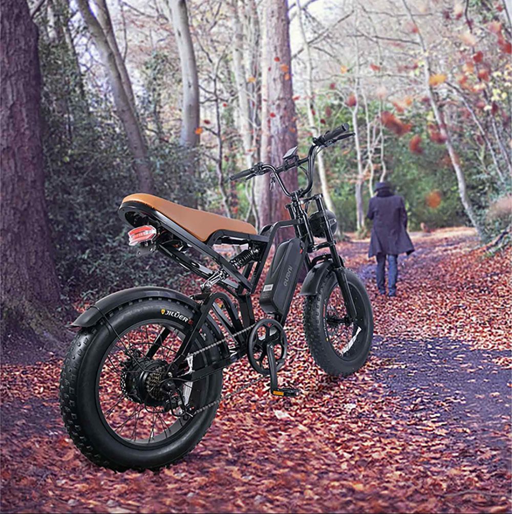 EUENI FXH009 Pro Electric Bike, 20-inch Tire, 750W Motor, 48V 15Ah Battery, 45km/h Max Speed, 96km Range, Shimano 7-speed Gear 