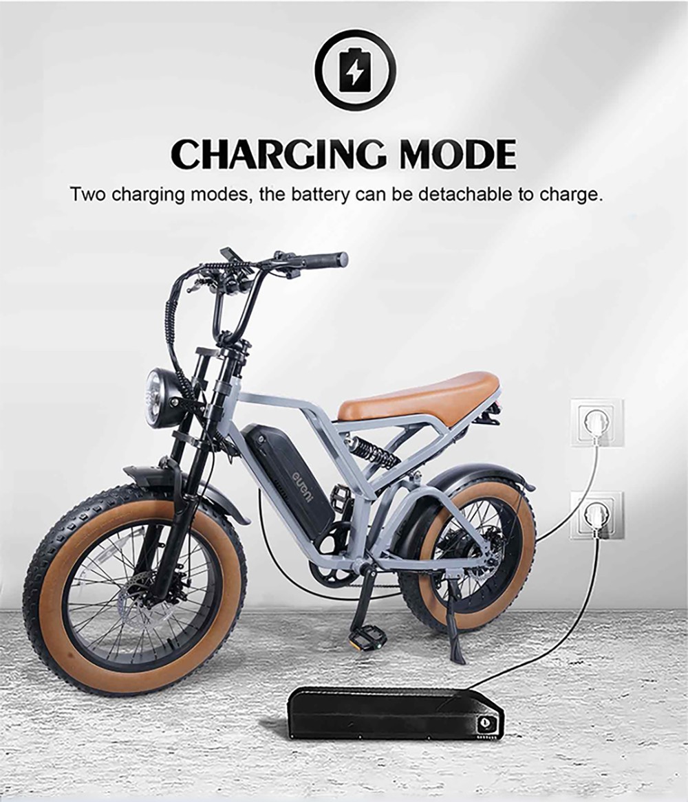 EUENI FXH009 Pro Electric Bike, 20-inch Tire, 750W Motor, 48V 15Ah Battery, 45km/h Max Speed, 96km Range, Shimano 7-speed Gear 