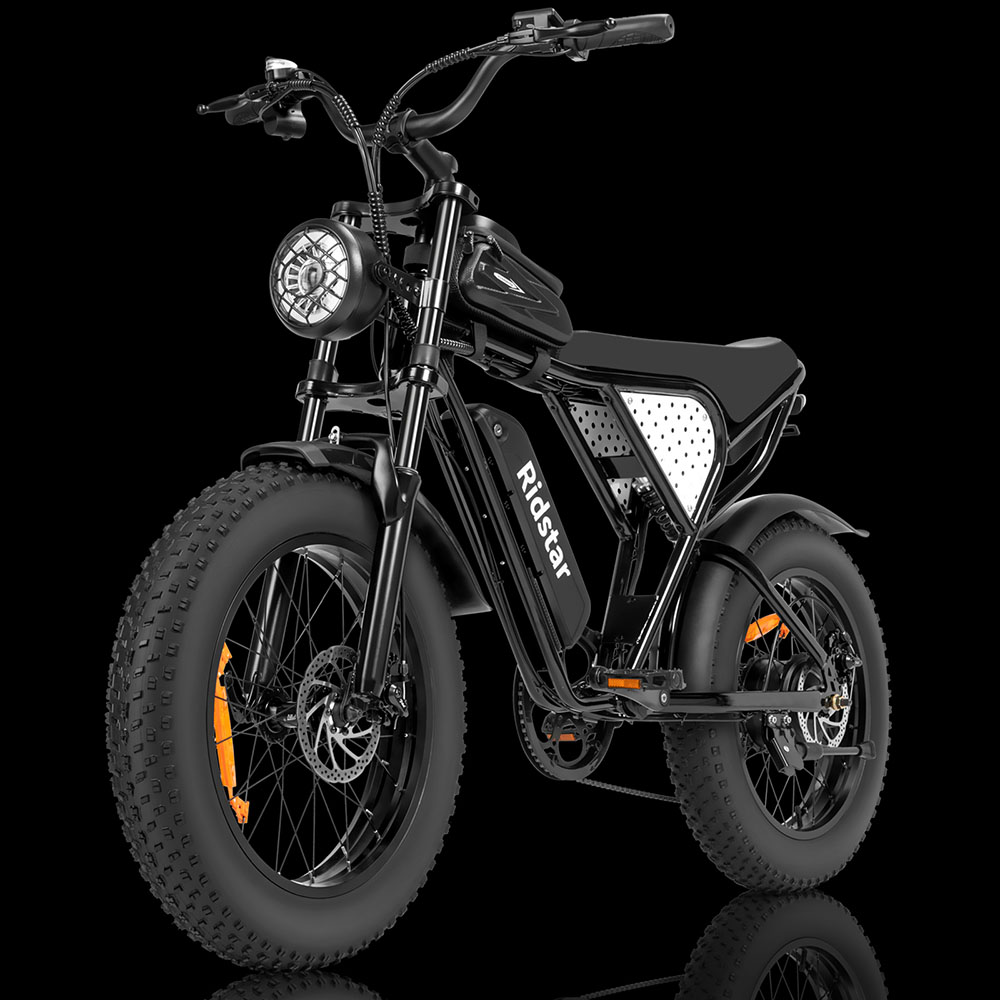 Ridstar Q20 Mini Electric Bike, 1000W Motor, 48V 15AH Battery, 20*4.0 inch Fat Tires, 40km/h Max Speed, 80km Range, Front Suspe