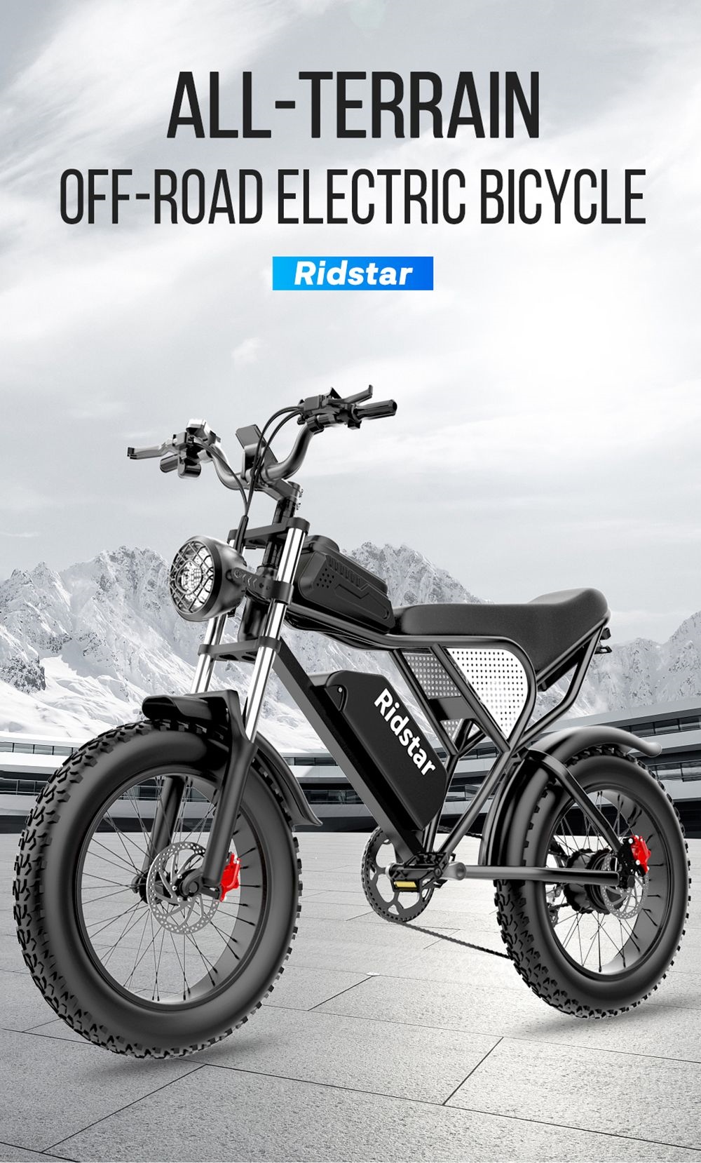 Ridstar Q20 Electric Bike, 1000W Brushless Motor, 20*4 Inch Fat Tires, 48V 20Ah Removable Battery, 30mph Max Speed