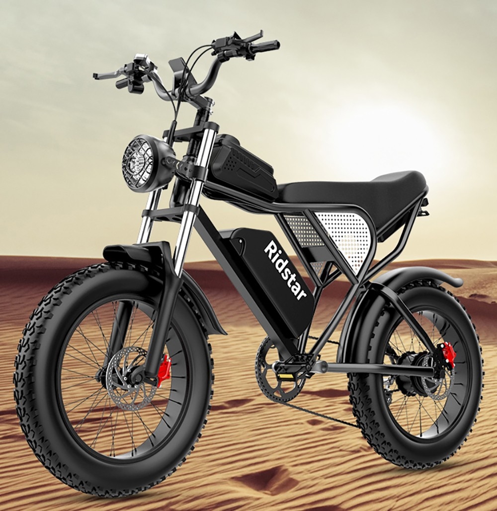 Ridstar Q20 Electric Bike, 1000W Brushless Motor, 20*4 Inch Fat Tires, 48V 20Ah Removable Battery, 30mph Max Speed