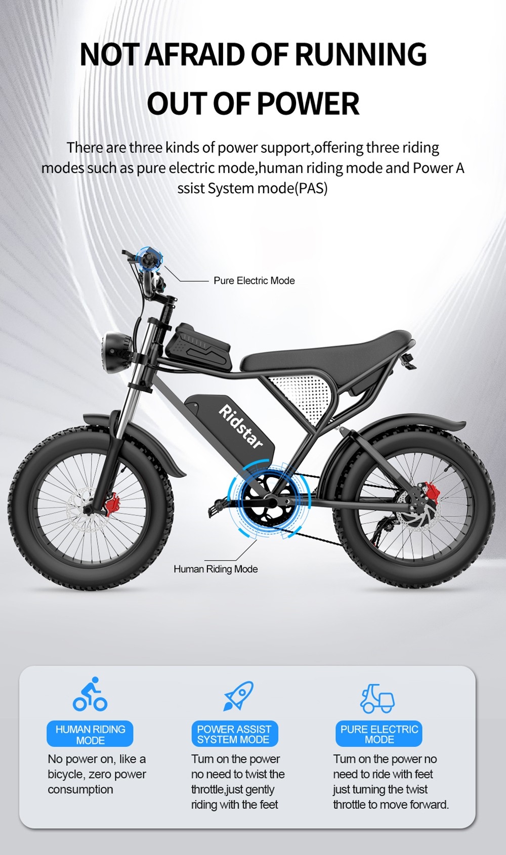 Ridstar Q20 Electric Bike, 1000W Brushless Motor, 20*4 Inch Fat Tires, 48V 20Ah Removable Battery, 30mph Max Speed