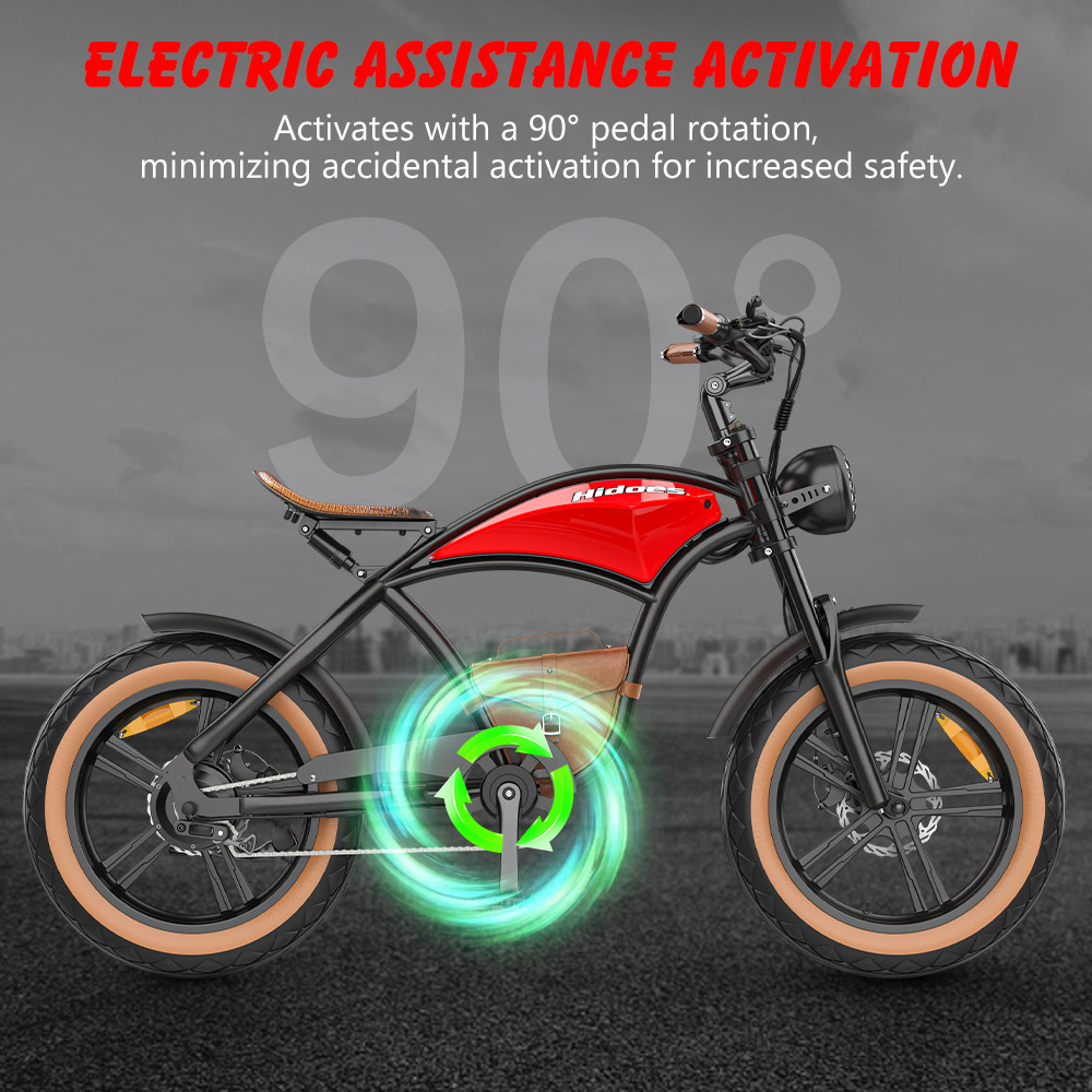 Hidoes B10 Electric Bike  1000W Motor  48V 13Ah Battery  20 x4