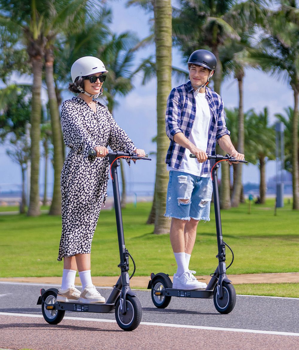 5TH WHEEL V30PRO Electric Scooter ABE Certification  350W Motor  36V 7 5AH Battery  10-inch Tire  20km/h Max Speed  32km Range 