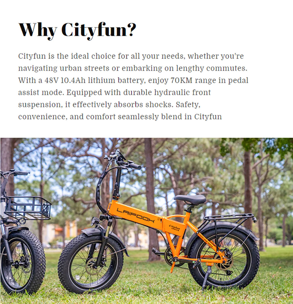 LAIFOOK Cityfun Electric Bike  250W Brushless Motor  48V 10 4AH Battery  20 x 4 0 Inch Fat Tires  25km/h Max Speed  70km Range 