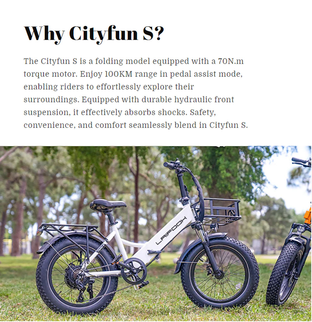 LAIFOOK Cityfun S Electric Bike  250W Brushless Motor  48V 10 4AH Battery  20 x 4 0 Inch Fat Tires  25km/h Max Speed  70km Rang