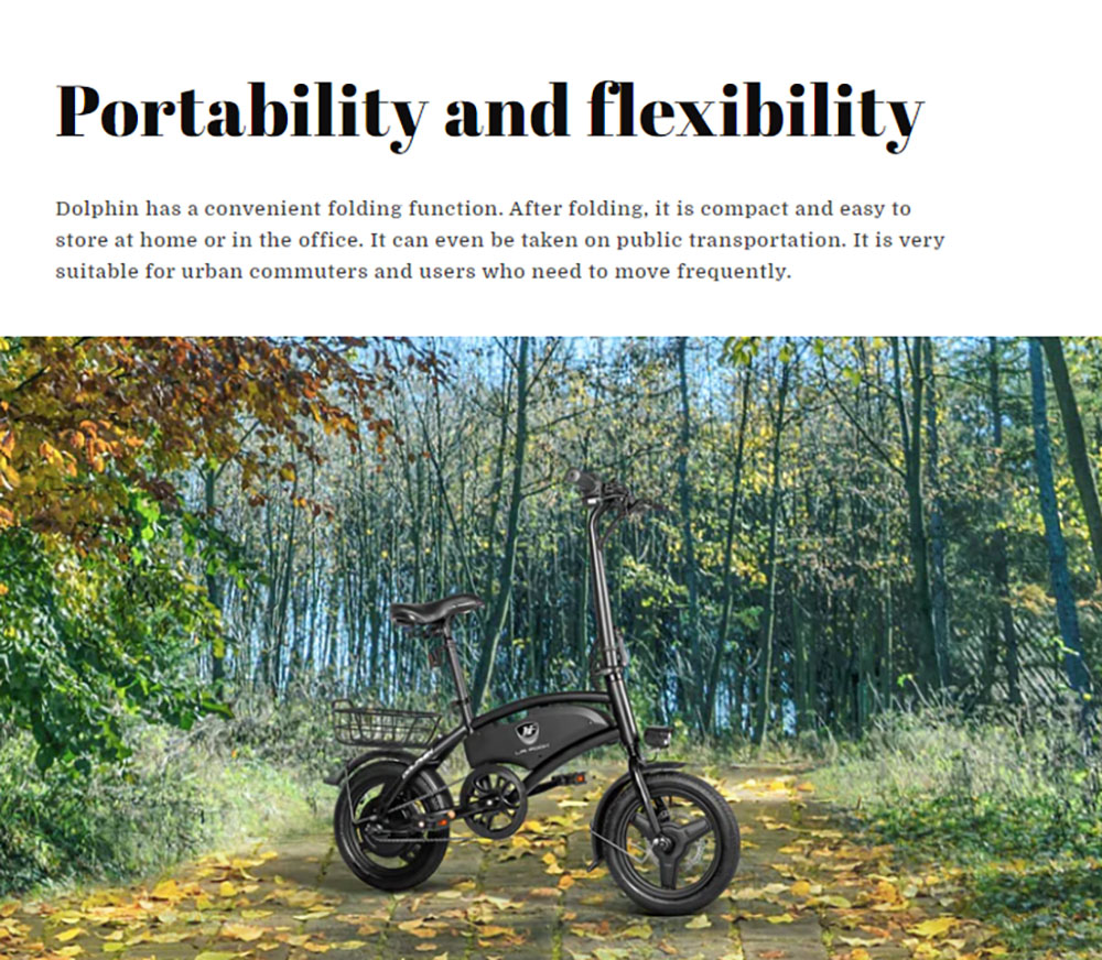 LAIFOOK Dolphin Folding Electric Bike  250W Motor  36V 7 8AH Battery  14-inch Tire  25km/h Max Speed  40km Range  Disc Brakes  