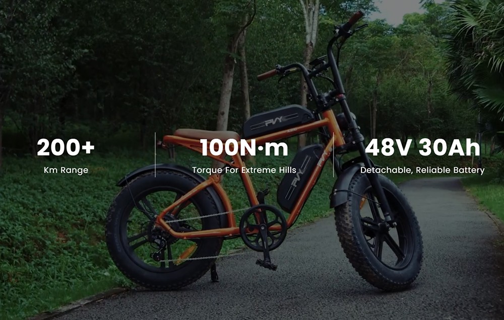 PVY X20 Electric Bike  1000W Motor  48V 30Ah Dual-battery  20*4 0'' Fat Tire  50km/h Max Speed  200km Max Range  Hydraulic Disc